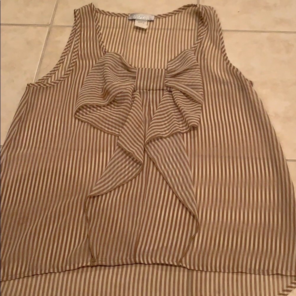 Sheer Bowed Blouse